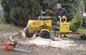 Stump Grinders for hire with experienced operators