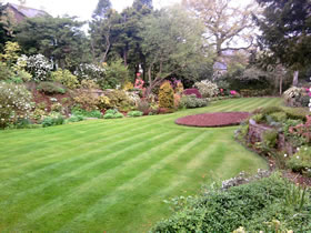 Hedge cutting and trimming, Shrub or Tree reshaping and pruning